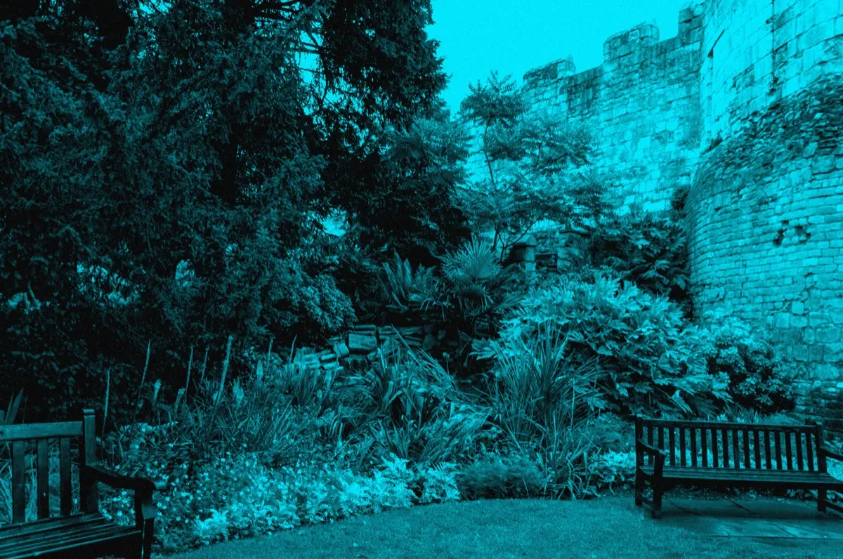 Museum Gardens, York